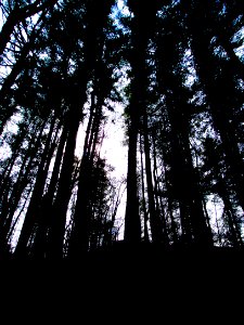 mt pisgah-007