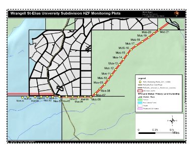Wrangell St.Elias University Subdivision Monitoring Plots