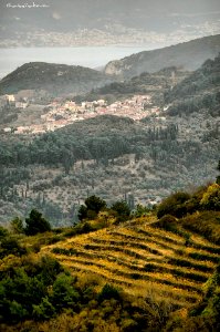 Vourliotes village, Samos Town in the font