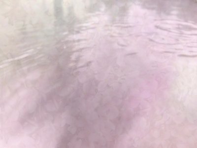 Free texture - Lilac waters