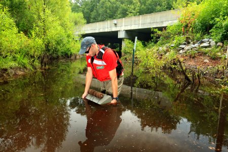 U.S. Geological Survey, Sample Site, Turkey Creek (downstream), at Highway 41, Francis Marion National Forest, Berkeley County, South Carolina, Jeff Riley 3 photo