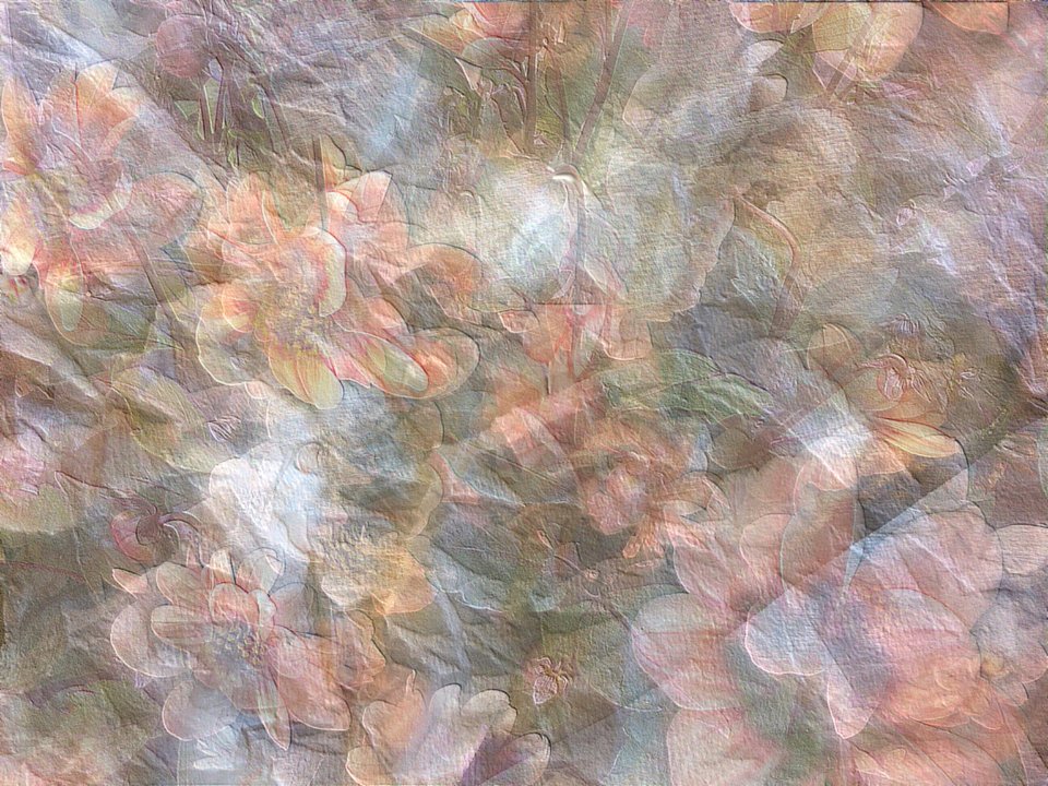 Free Texture
