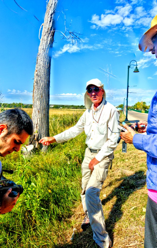 Sivinski on cienega plants