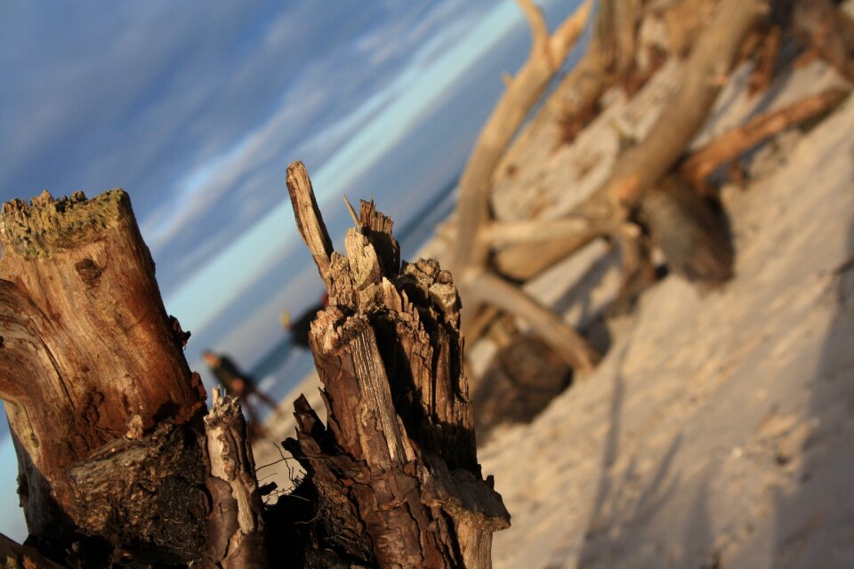 Baltic sea sea water