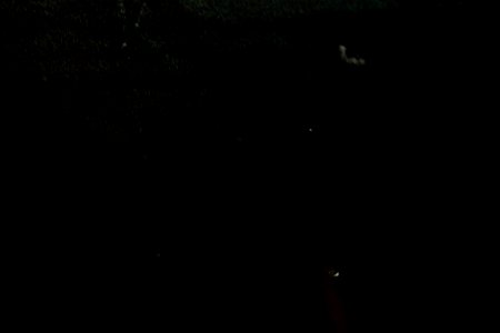 CERN 2016 0141