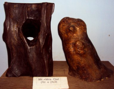 Mr and Mrs Owl At Prakriti Bhavan, a museum of natural sculptures