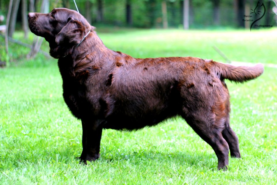 boonfield (16)
