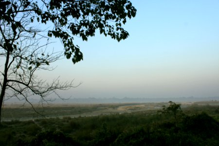 Near the forest watchtower, Chilapata forest photo