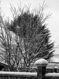 IMG 0072 edited