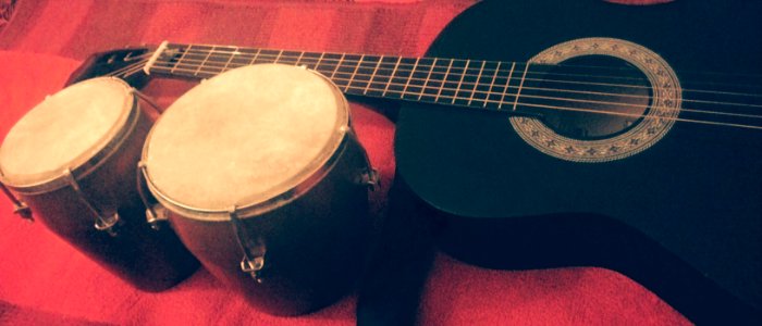 New friends: Guitar and Bongo