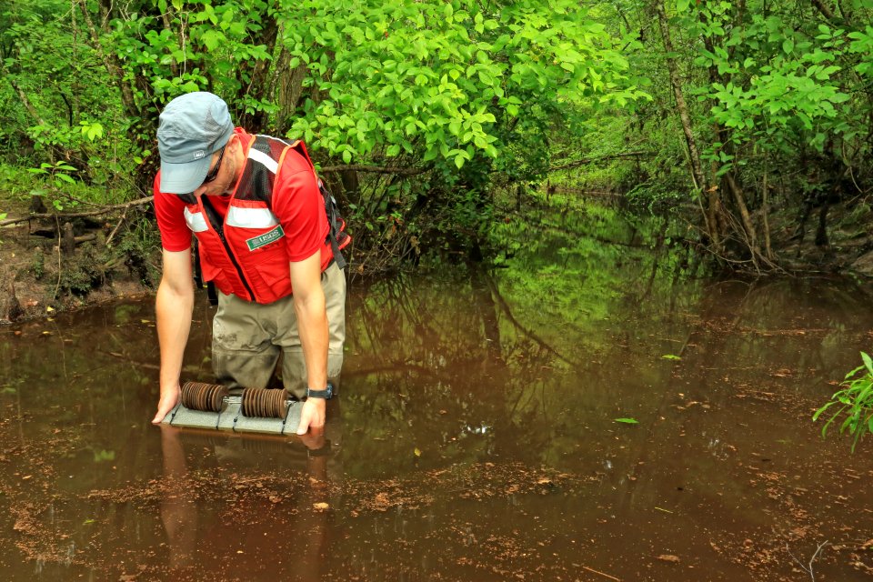 U.S. Geological Survey, Sample Site, Turkey Creek (downstream), at Highway 41, Francis Marion National Forest, Berkeley County, South Carolina, Jeff Riley 2