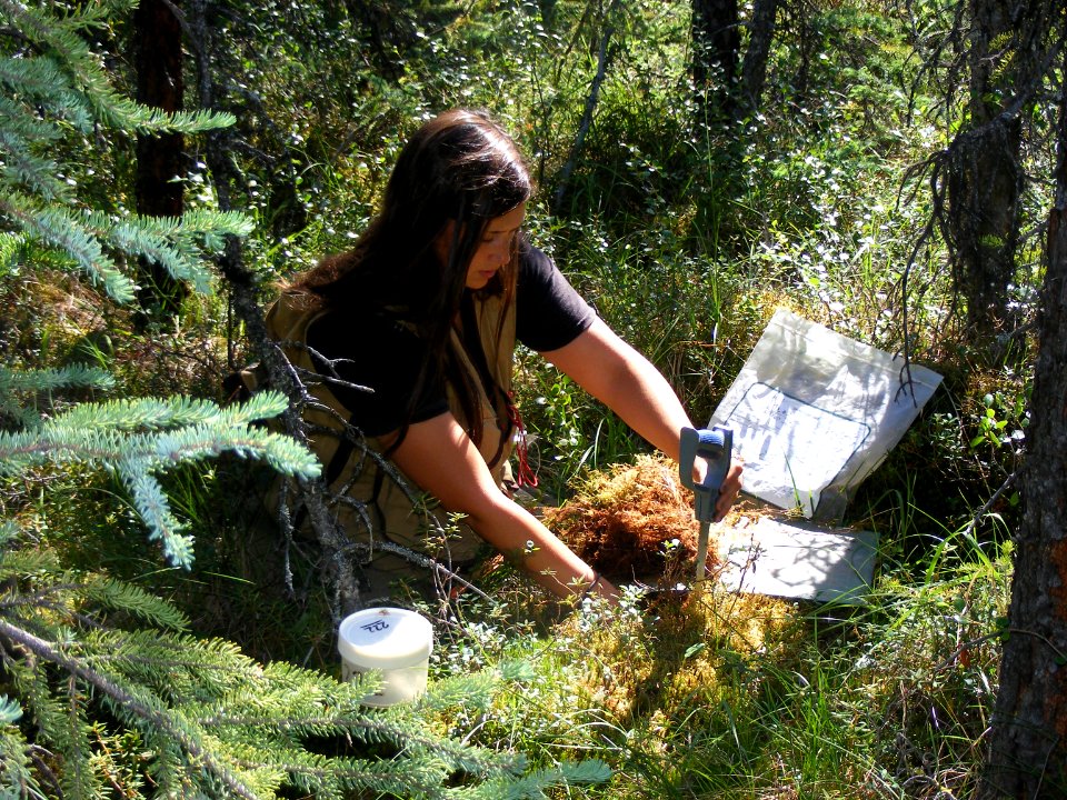 Fuel sampling, Denali National Park, 2015, NPS Photo