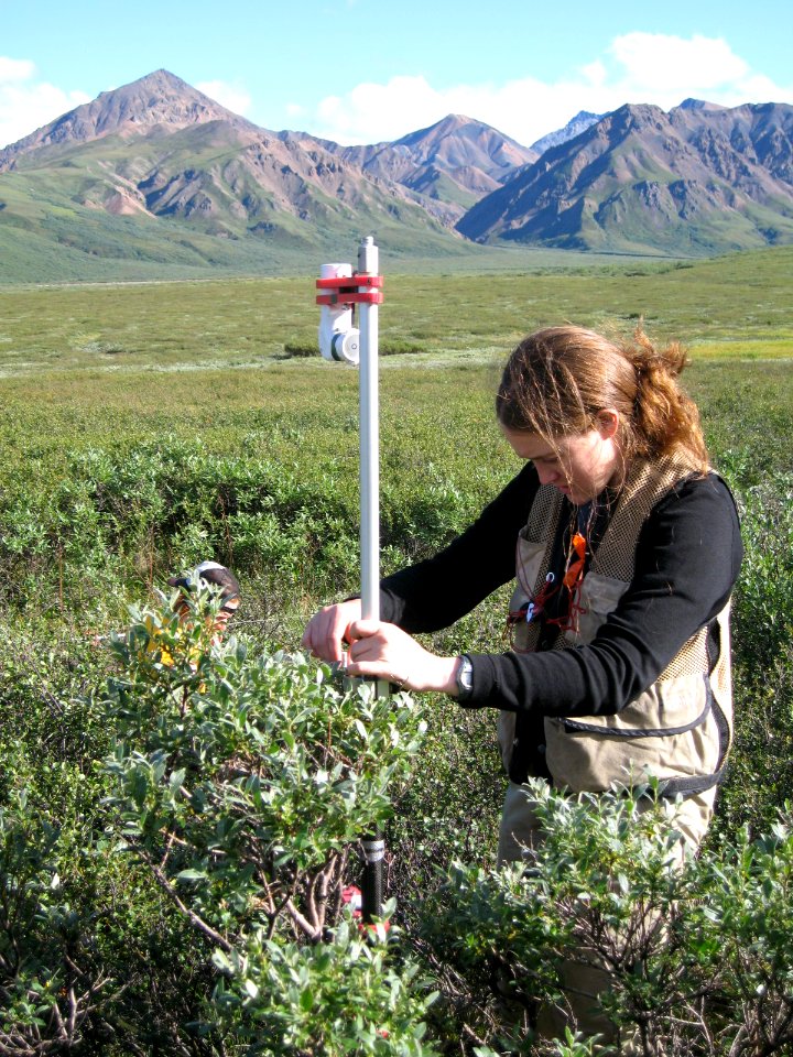 Jamie Martin conducts field work with a nice view.