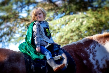 Whitehall Equestrian