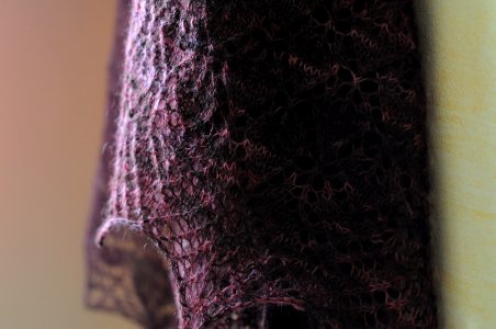 Spring Thaw Shawl photo