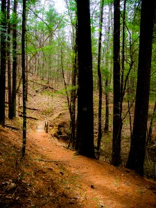 mt pisgah-006