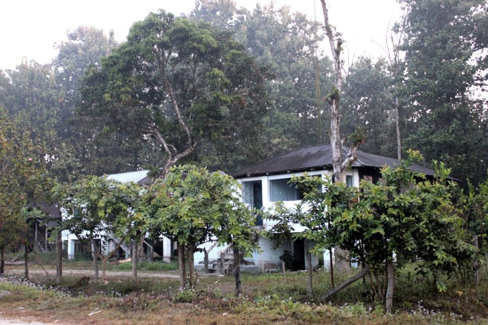 Forest guest house at Chilapata