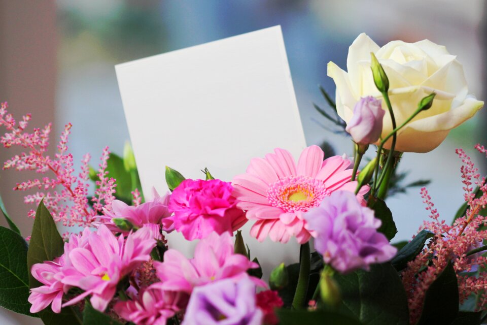 Flowers bouquet pink