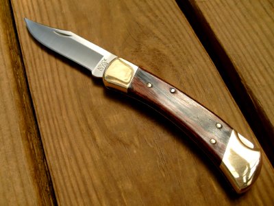 Buck 110 Folding Hunter