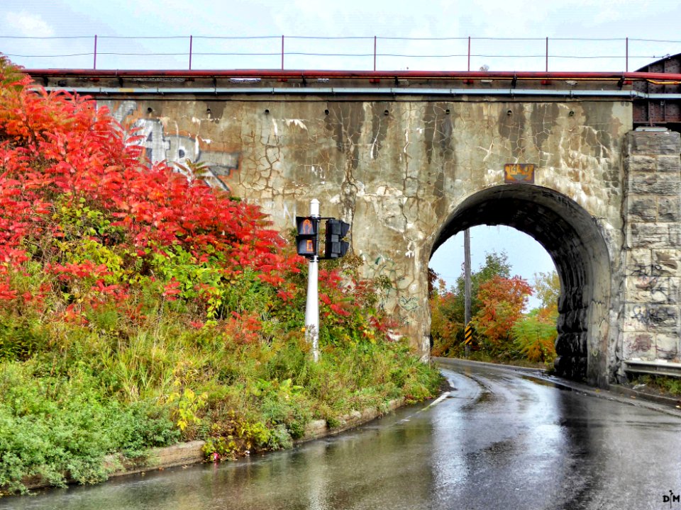 Tunnel