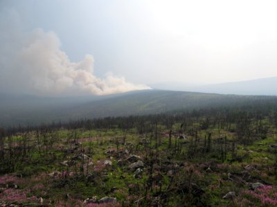 Castle Rock Fire, Denali National Park, 2015, NPS Photo