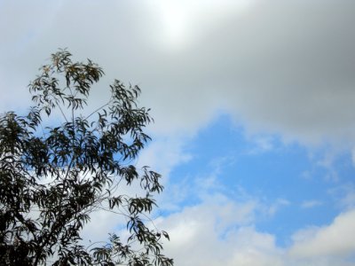 A partially cloudy sky