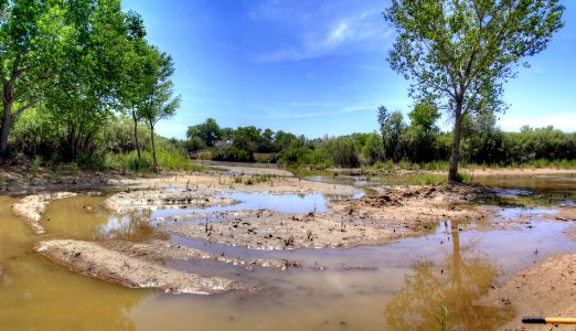 Restoration Site 95 outfall