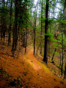 mt pisgah-004