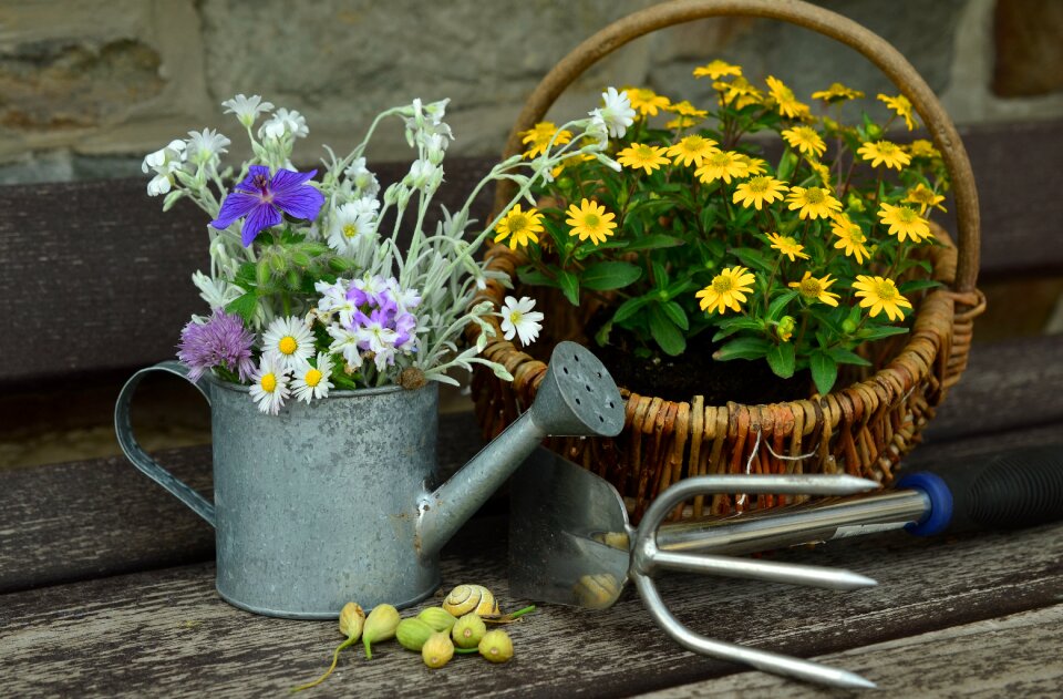 Gardening watering can hoe