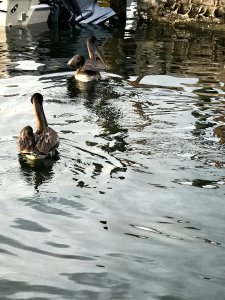 IMG 3194