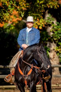Whitehall Equestrian