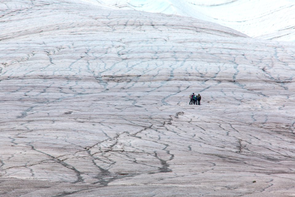 Hikers on the Root Glacier