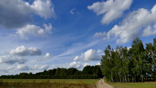 20180916 P1150490
