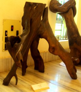 Goat - At Prakriti Bhavan, a museum of natural sculptures
