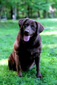 boonfield (53)