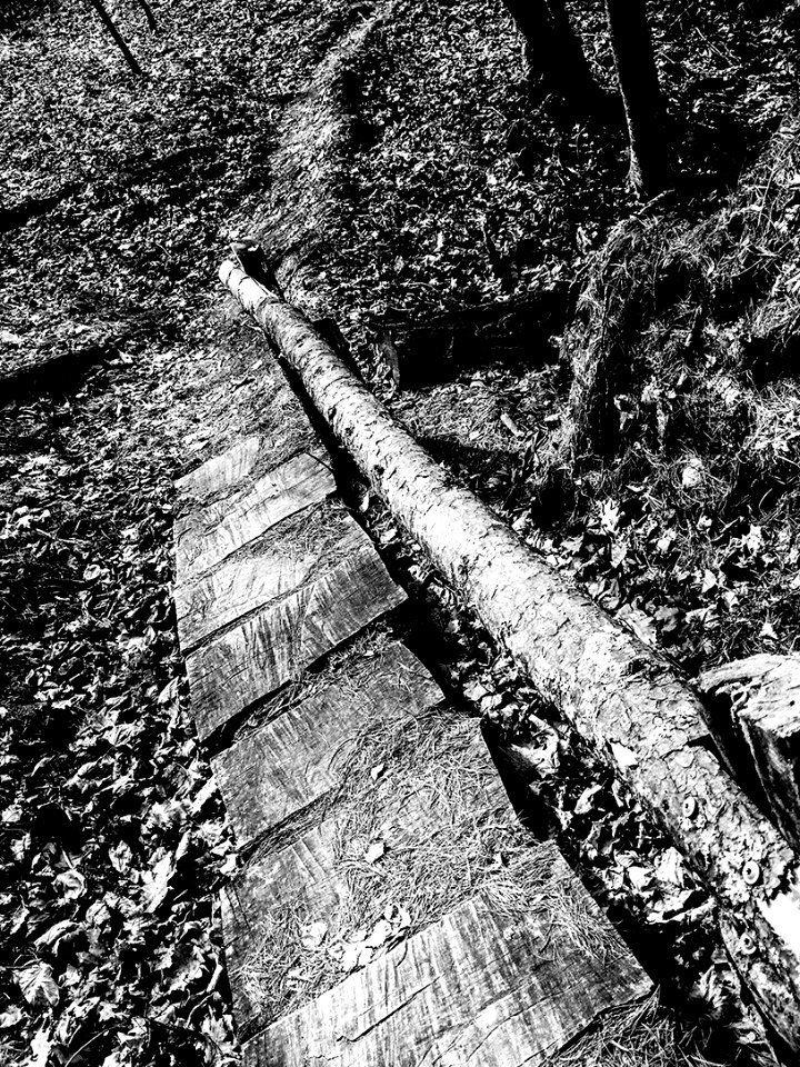 mt pisgah-010