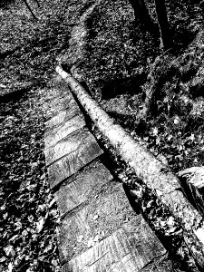 mt pisgah-010