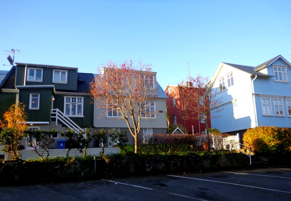 Reykjavik's Street