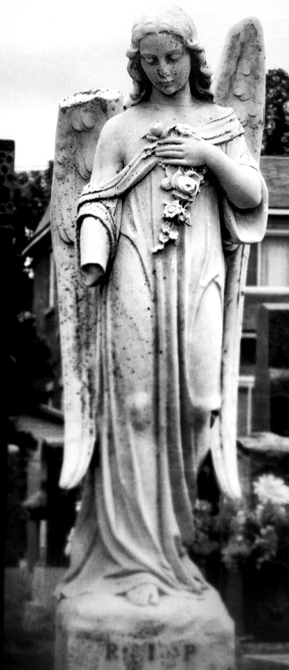 Broken Angel