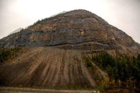 DSC 0353