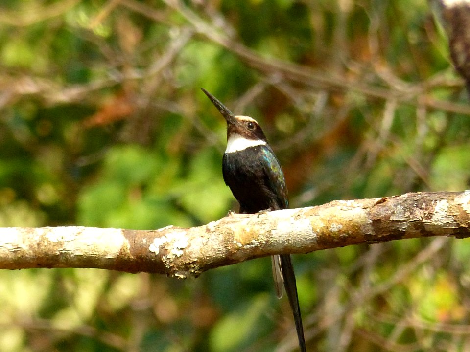 P1080677