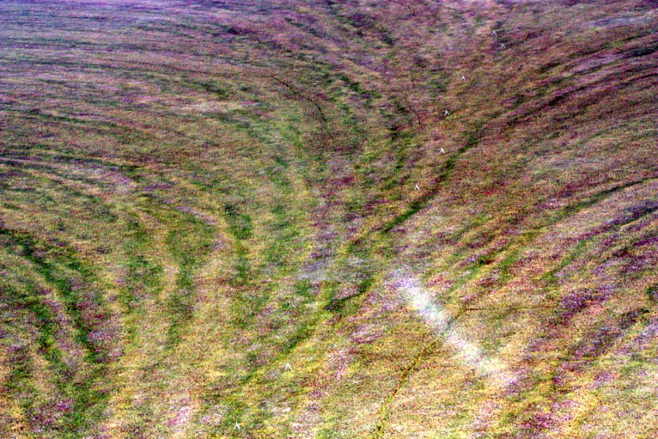 20120823-Winter Trail