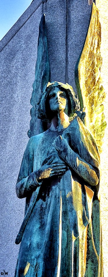 Angel of the Apocalypse
