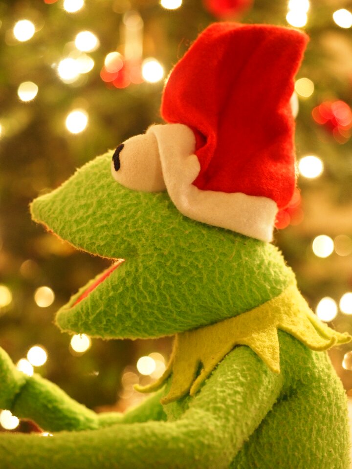 Christmas santa claus cheerful