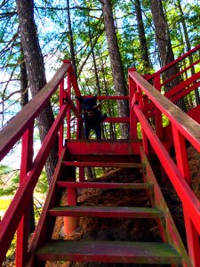 natural-bridge-007