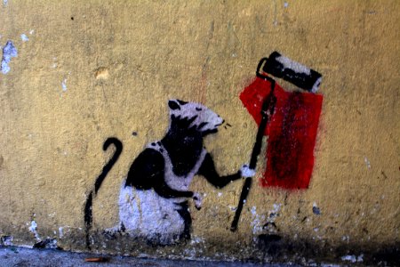 Maus an der Wand