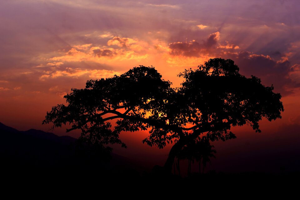 Landscape ray of light summer photo