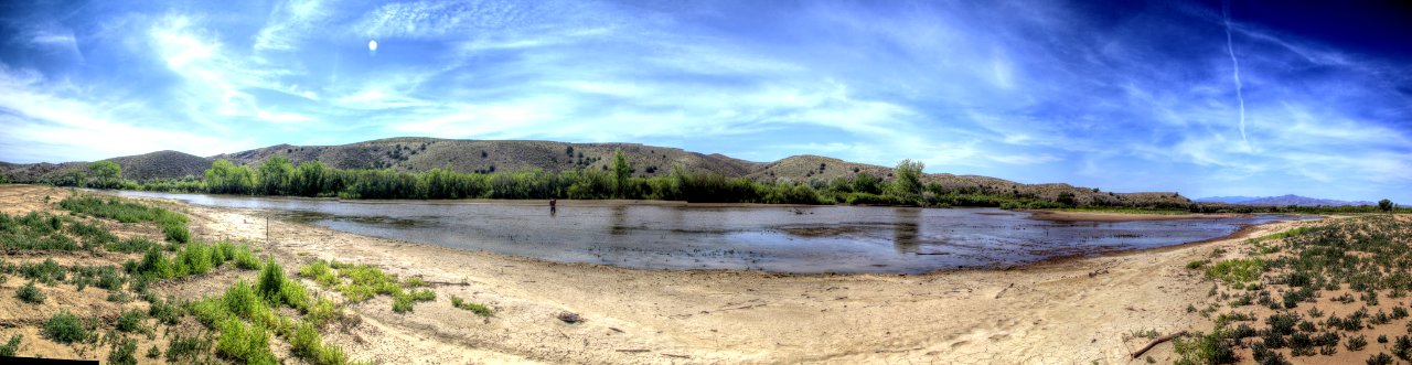 Sevilleta Restoration Site