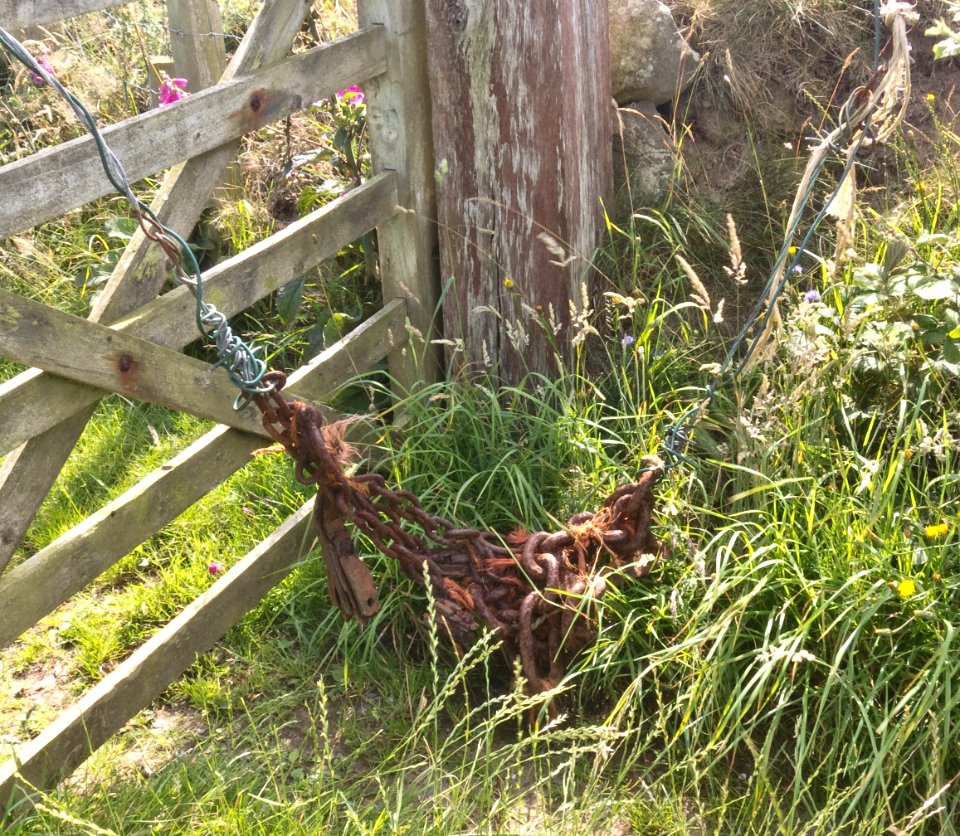 Ropes, chains, wires.