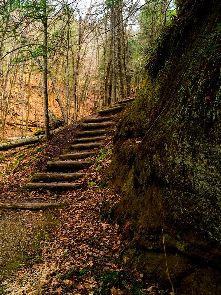 mt pisgah-002